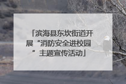 滨海县东坎街道开展“消防安全进校园”主题宣传活动