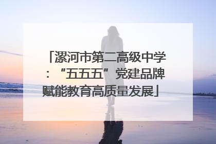漯河市第二高级中学：“五五五”党建品牌赋能教育高质量发展