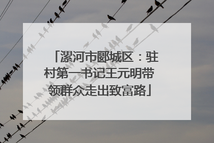 漯河市郾城区：驻村第一书记王元明带领群众走出致富路