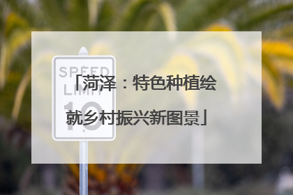 菏泽：特色种植绘就乡村振兴新图景
