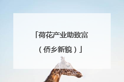 荷花产业助致富（侨乡新貌）