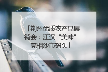 荆州优质农产品展销会：江汉“美味”亮相沙市码头