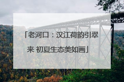 老河口：汉江荷韵引翠来 初夏生态美如画