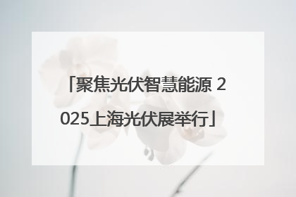 聚焦光伏智慧能源 2025上海光伏展举行