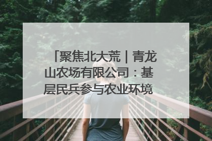 聚焦北大荒｜青龙山农场有限公司：基层民兵参与农业环境综合治理显效
