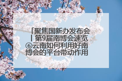 聚焦国新办发布会丨第9届南博会速览⑥云南如何利用好南博会的平台带动作用，深化与南亚国家的交流与合作？
