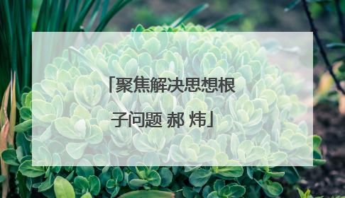 聚焦解决思想根子问题 郝 炜