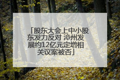 股东大会上中小股东发力反对 漳州发展约12亿元定增相关议案被否