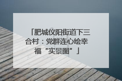 肥城仪阳街道下三合村：党群连心绘幸福“实景图”