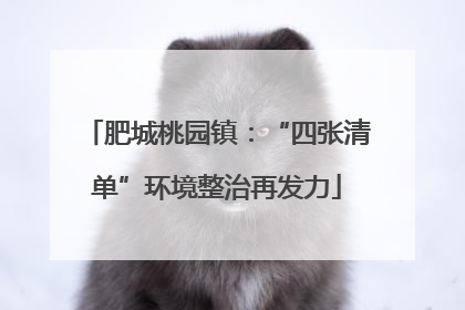 肥城桃园镇：“四张清单”环境整治再发力