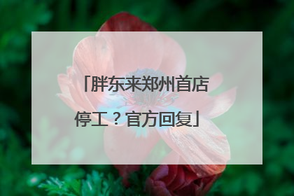 胖东来郑州首店停工？官方回复