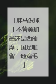 胖马识球丨不管美加墨还是西葡摩，国足唯留一地鸡毛