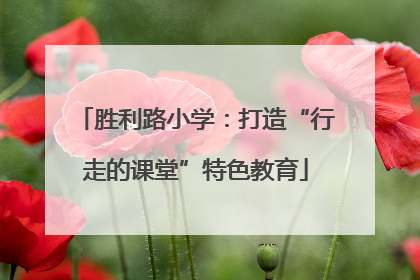 胜利路小学：打造“行走的课堂”特色教育