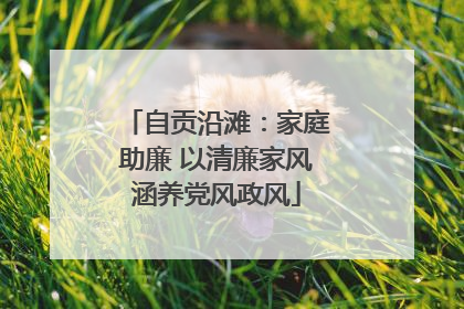 自贡沿滩：家庭助廉 以清廉家风涵养党风政风
