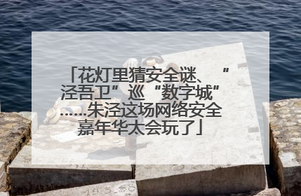 花灯里猜安全谜、“泾吾卫”巡“数字城”……朱泾这场网络安全嘉年华太会玩了