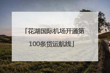 花湖国际机场开通第100条货运航线