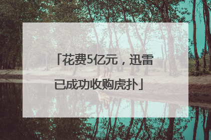 花费5亿元，迅雷已成功收购虎扑