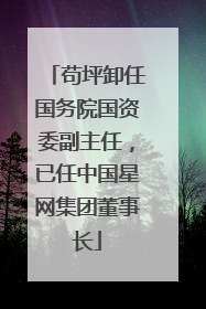 苟坪卸任国务院国资委副主任，已任中国星网集团董事长