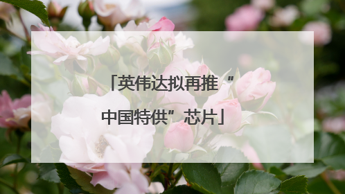 英伟达拟再推“中国特供”芯片