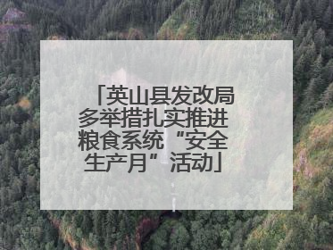 英山县发改局多举措扎实推进粮食系统“安全生产月”活动
