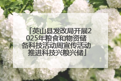 英山县发改局开展2025年粮食和物资储备科技活动周宣传活动 推进科技兴粮兴储