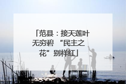 范县：接天莲叶无穷碧 “民主之花”别样红