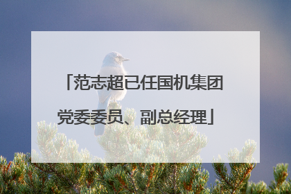 范志超已任国机集团党委委员、副总经理