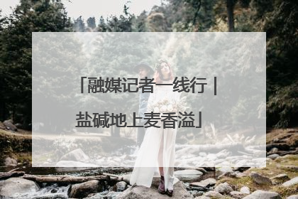 融媒记者一线行｜盐碱地上麦香溢