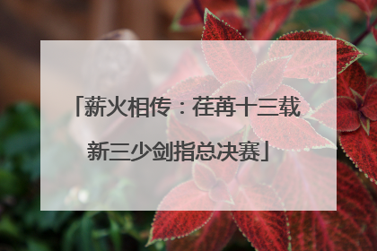 薪火相传：荏苒十三载 新三少剑指总决赛