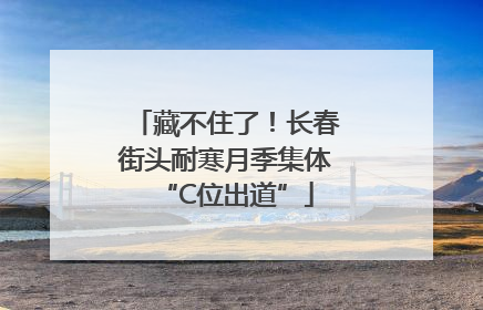 藏不住了！长春街头耐寒月季集体“C位出道”