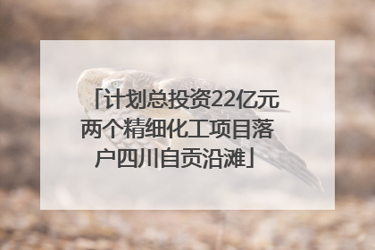 计划总投资22亿元 两个精细化工项目落户四川自贡沿滩