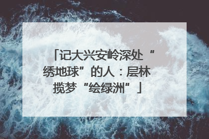 记大兴安岭深处“绣地球”的人：层林揽梦“绘绿洲”