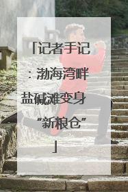 记者手记：渤海湾畔盐碱滩变身“新粮仓”