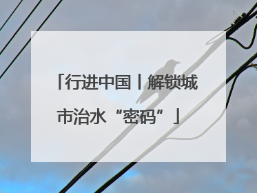 行进中国丨解锁城市治水“密码”