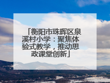 衡阳市珠晖区泉溪村小学：聚焦体验式教学，推动思政课堂创新