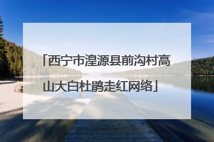 西宁市湟源县前沟村高山大白杜鹃走红网络