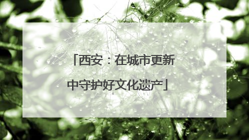 西安：在城市更新中守护好文化遗产