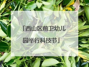 西山区前卫幼儿园举行科技节