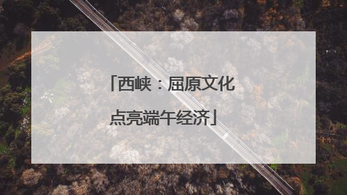 西峡：屈原文化点亮端午经济