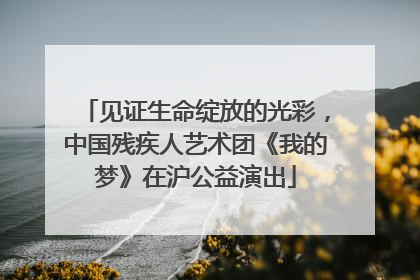 见证生命绽放的光彩，中国残疾人艺术团《我的梦》在沪公益演出