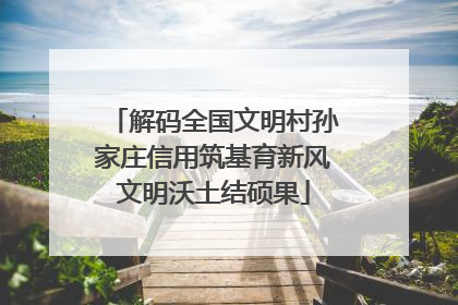 解码全国文明村孙家庄信用筑基育新风文明沃土结硕果