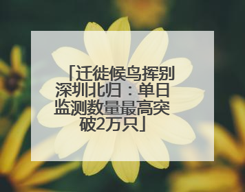 迁徙候鸟挥别深圳北归：单日监测数量最高突破2万只