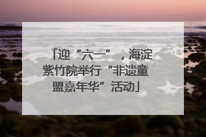 迎“六一”，海淀紫竹院举行“非遗童盟嘉年华”活动