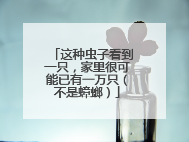 这种虫子看到一只，家里很可能已有一万只（不是蟑螂）