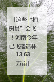 这些“植树员”会飞！河南今年已飞播造林13.63万亩