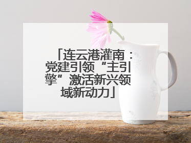 连云港灌南：党建引领“主引擎”激活新兴领域新动力