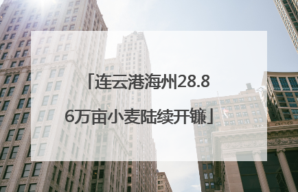 连云港海州28.86万亩小麦陆续开镰