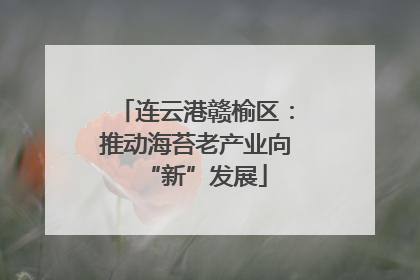 连云港赣榆区：推动海苔老产业向“新”发展
