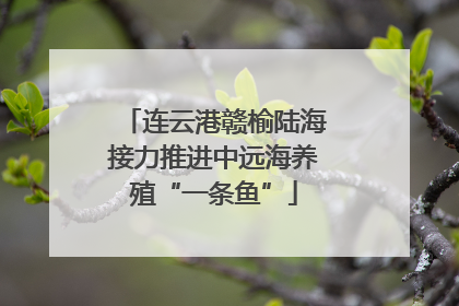 连云港赣榆陆海接力推进中远海养殖“一条鱼”