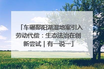 车碾鄱阳湖湿地案引入劳动代偿：生态法治在创新尝试｜有一说一